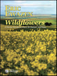 WILDFLOWERS PICCOLO/ CLARINET/ PIANO cover